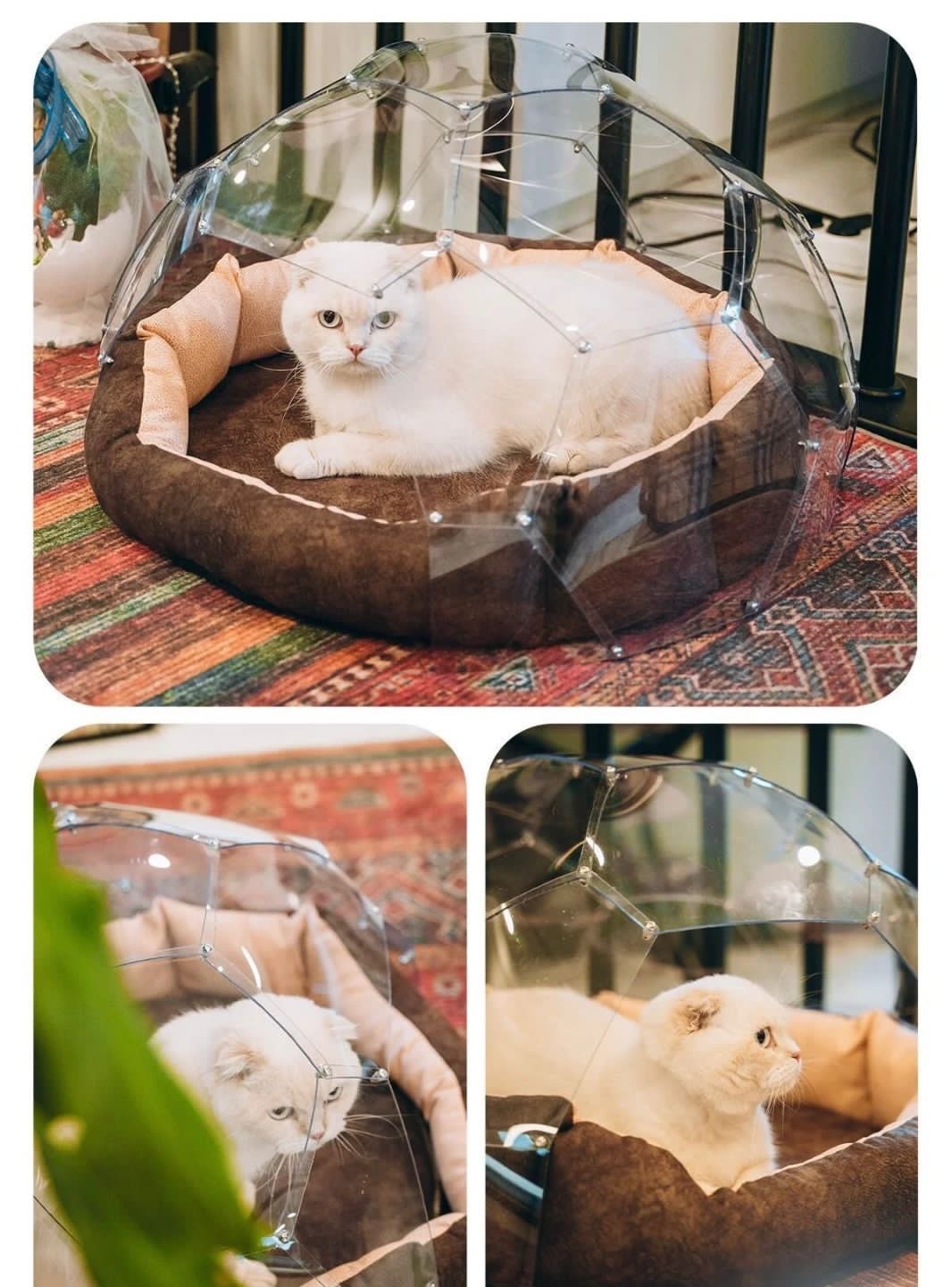 Bubbleorb Minitransparent