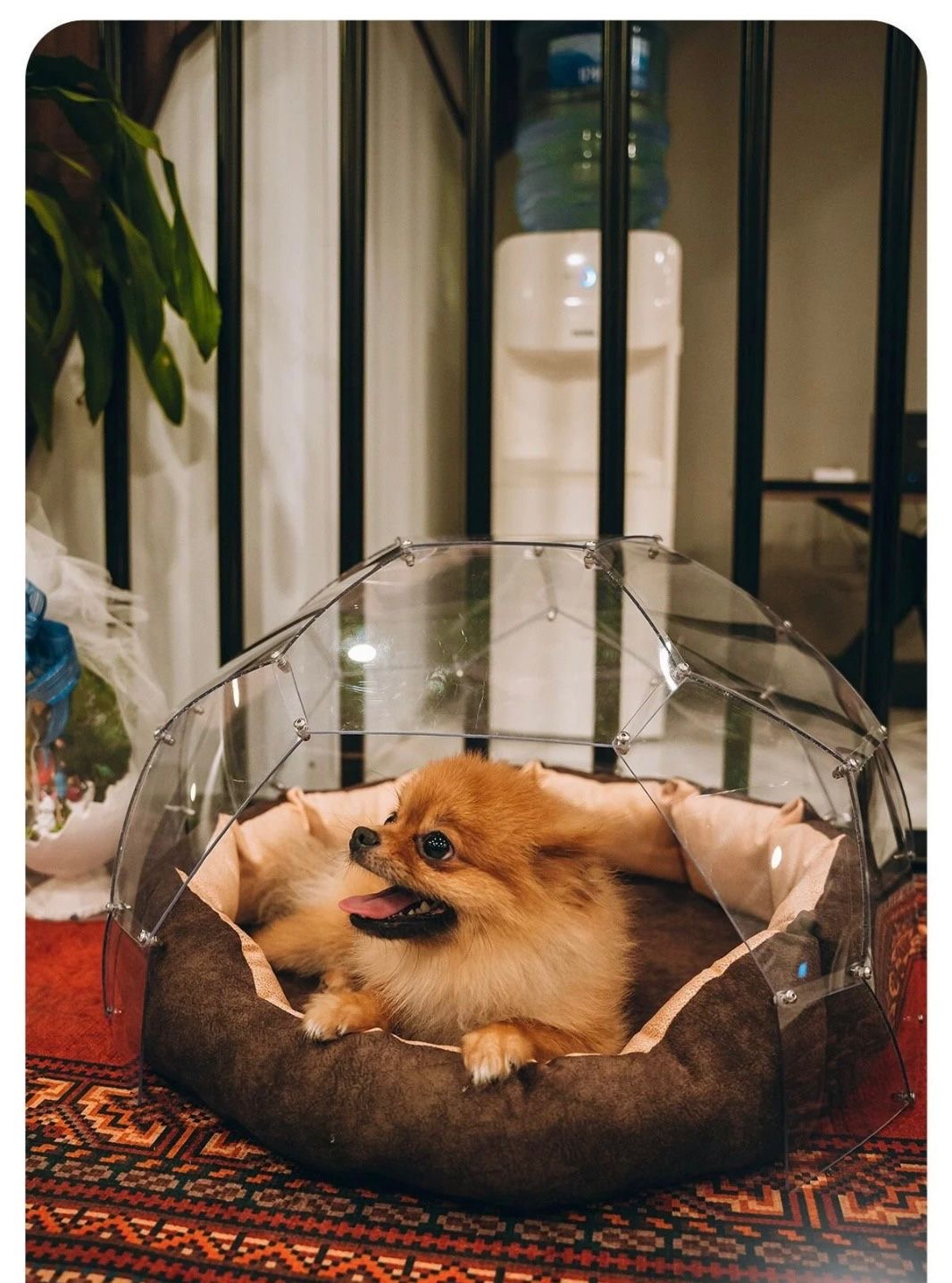 Bubbleorb Minitransparent